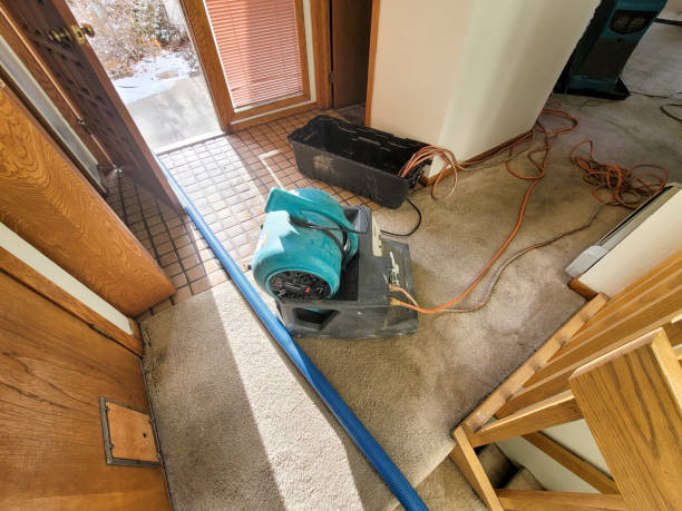 Best Ceiling water damage repair  in Dundalk, MD