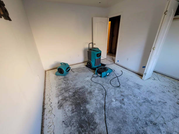 Best Carpet water damage restoration  in Dundalk, MD