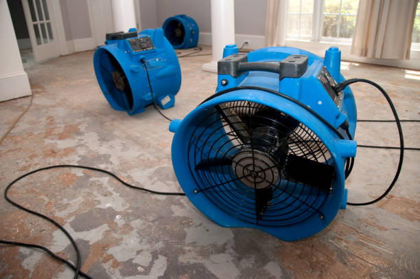 Best Water damage restoration near me  in Dundalk, MD