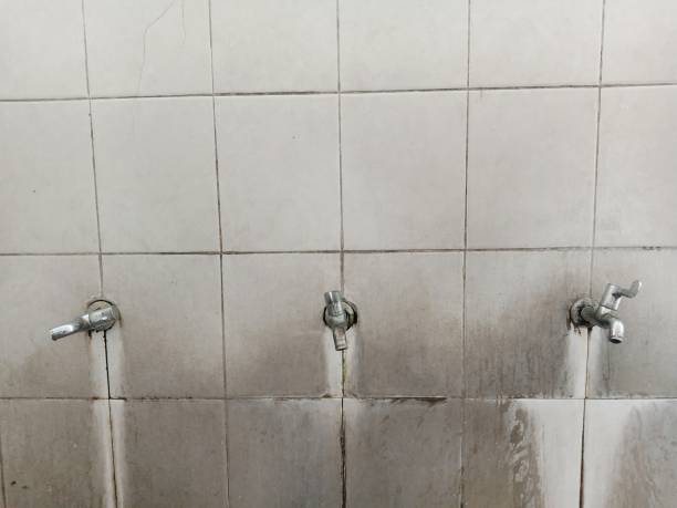 Best Water damage restoration near me  in Dundalk, MD