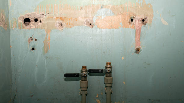 Best Fire Damage Restoration  in Dundalk, MD