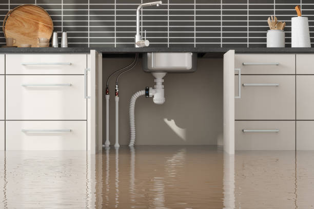 Best Emergency water damage restoration  in Dundalk, MD