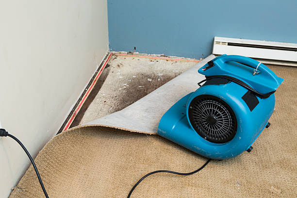 Best Residential water damage restoration  in Dundalk, MD